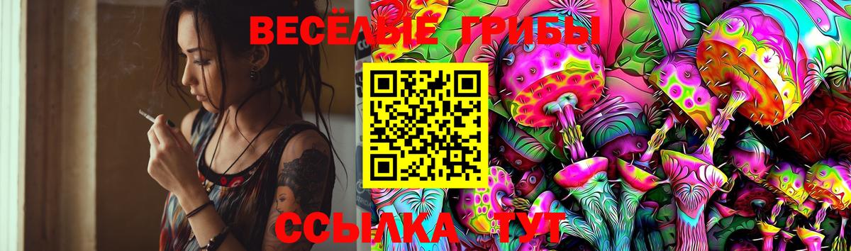 Галлюциногенные грибы Magic Shrooms Большой Камень